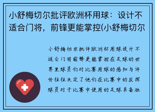 小舒梅切尔批评欧洲杯用球：设计不适合门将，前锋更能掌控(小舒梅切尔英冠进球)