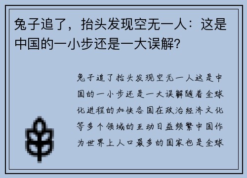 兔子追了，抬头发现空无一人：这是中国的一小步还是一大误解？