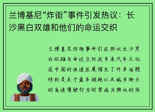 兰博基尼“炸街”事件引发热议：长沙黑白双雄和他们的命运交织