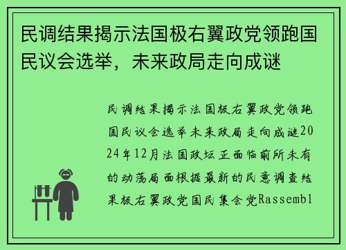 民调结果揭示法国极右翼政党领跑国民议会选举，未来政局走向成谜